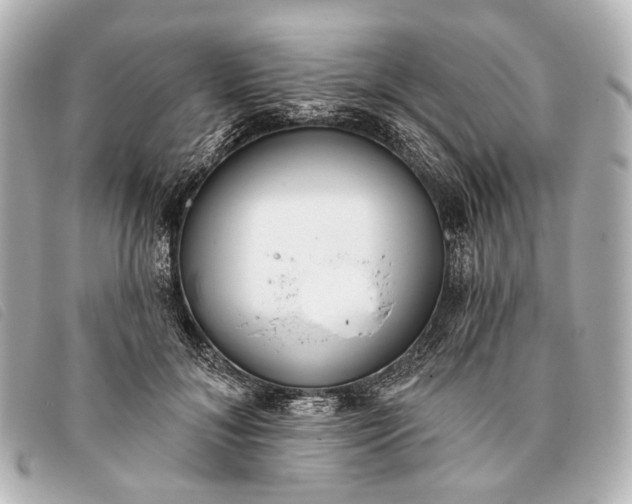 X0000093380700200710251217