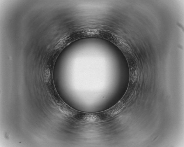 X0000093380704200710251217