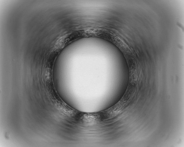 X0000093380706200710251217