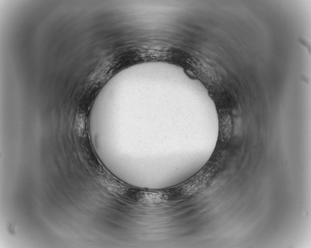 X0000093380709200710251217