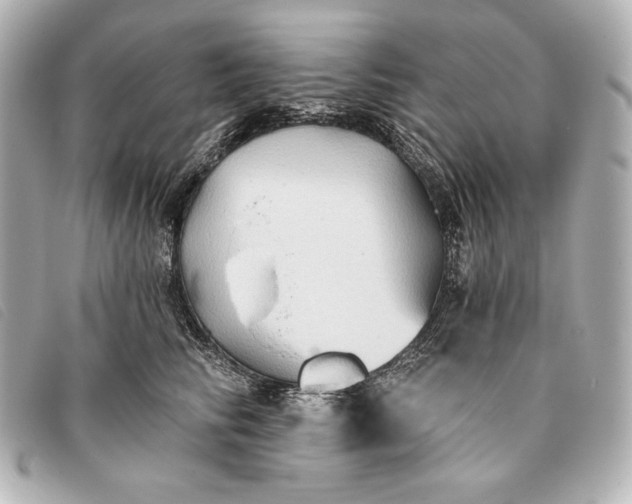 X0000093380710200710251217