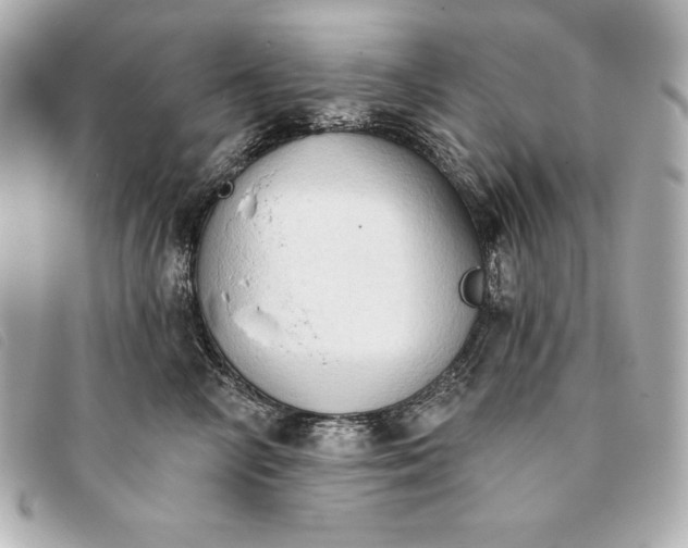 X0000093380714200710251217