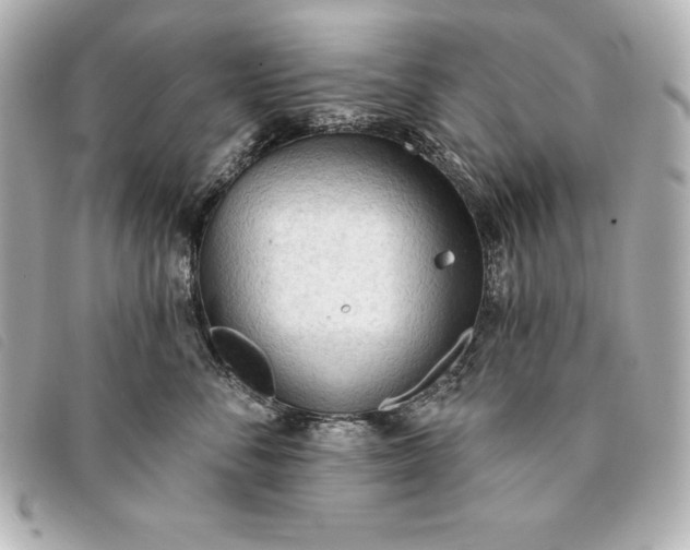 X0000093380716200710251217