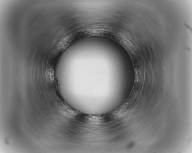 X0000093380718200710251217