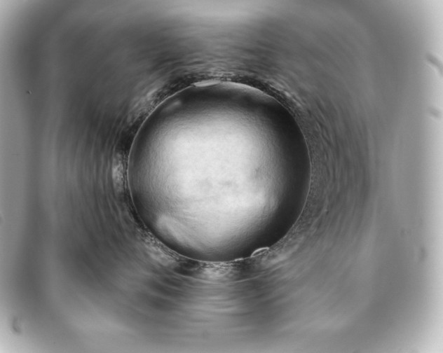 X0000093380720200710251217