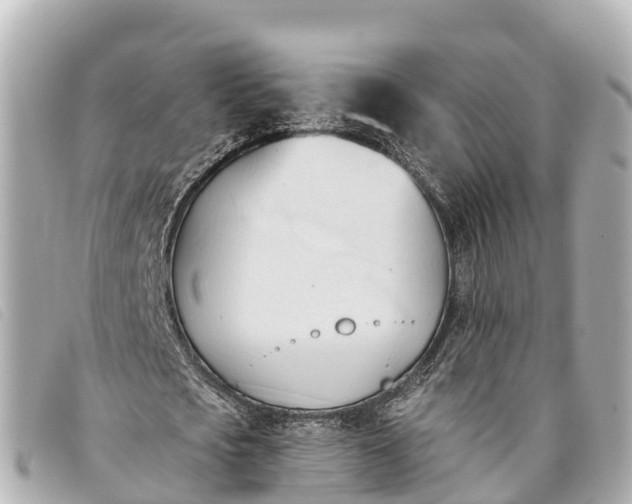 X0000093380721200710251216