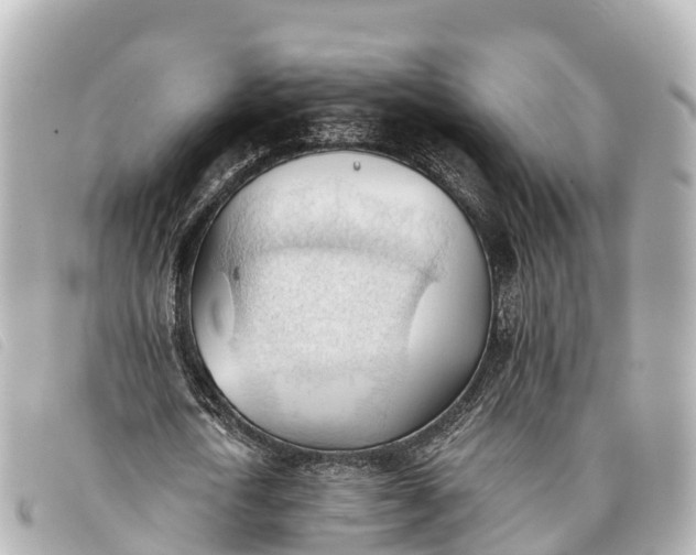 X0000093380722200710251216