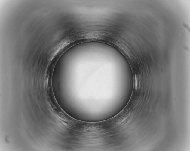 X0000093380723200710251216