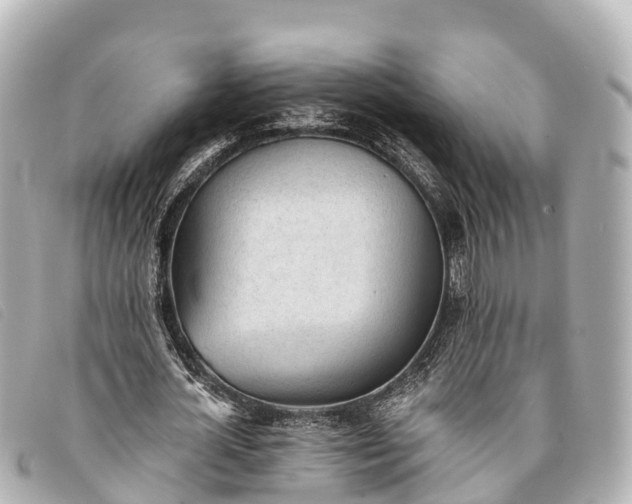 X0000093380724200710251216