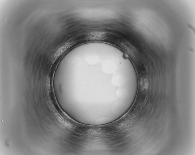 X0000093380725200710251216