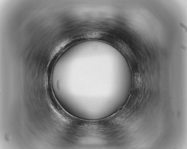 X0000093380726200710251216