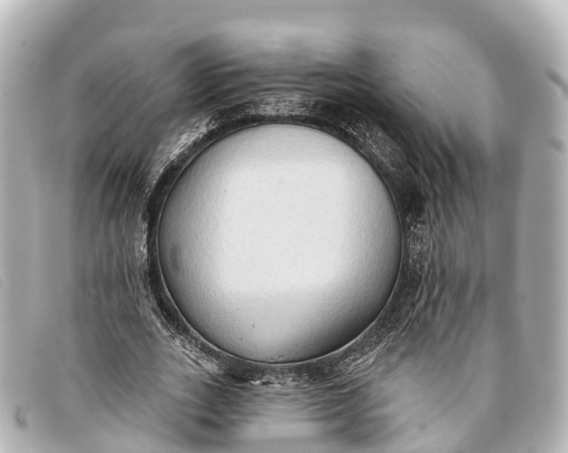 X0000093380727200710251216