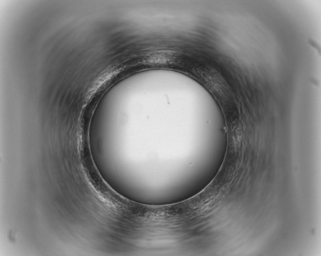 X0000093380728200710251216