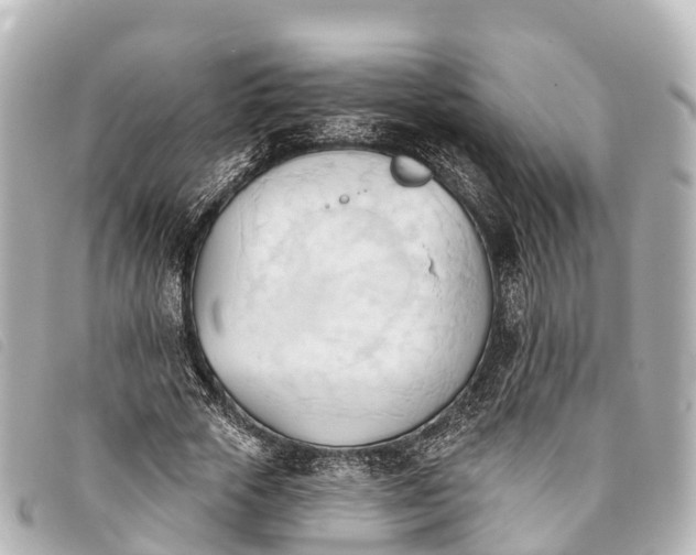 X0000093380729200710251216