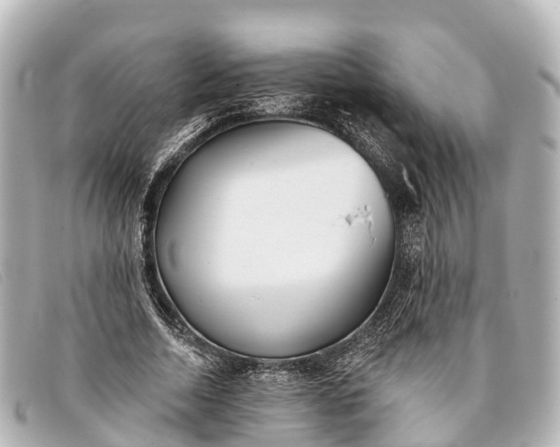 X0000093380730200710251216