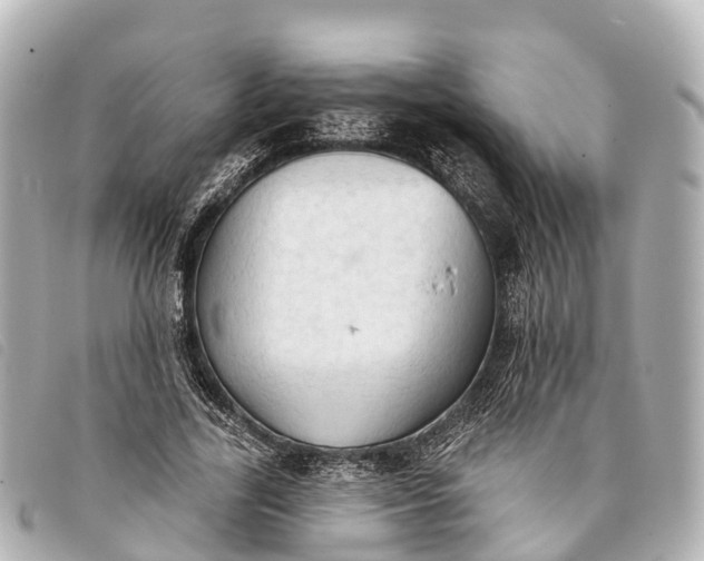 X0000093380731200710251216