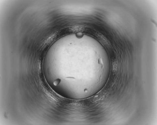 X0000093380733200710251216