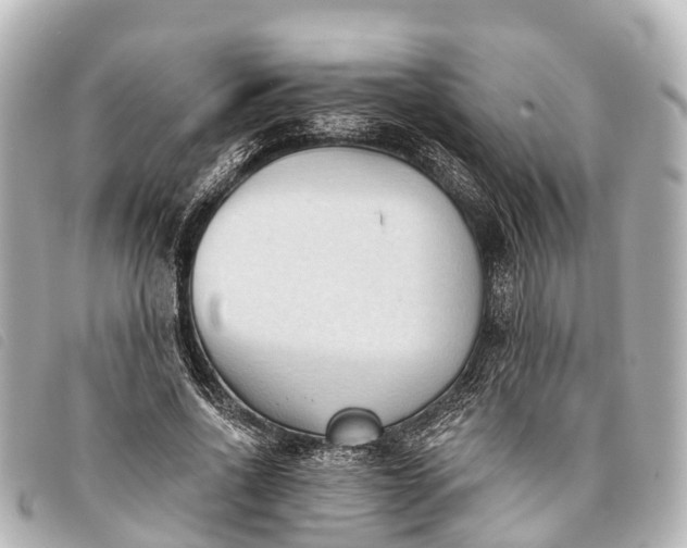 X0000093380734200710251216