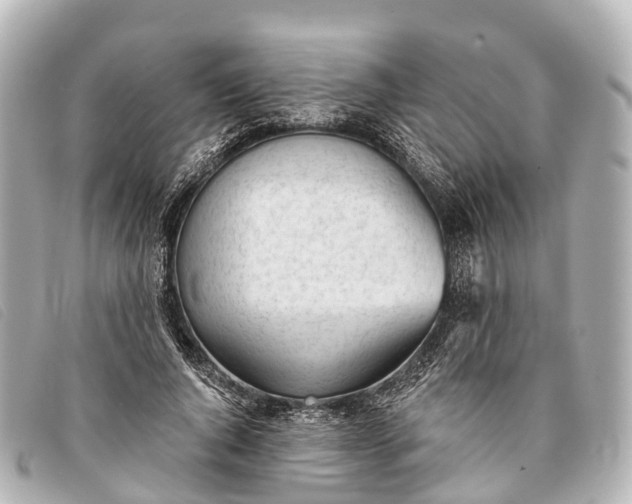 X0000093380736200710251216