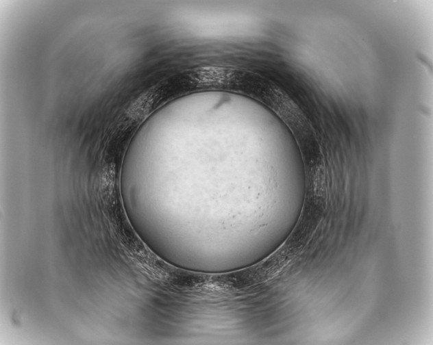 X0000093380737200710251216