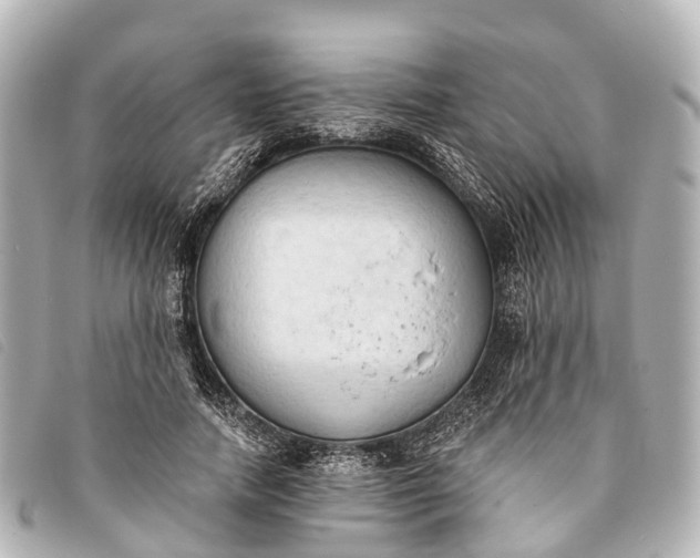 X0000093380738200710251216