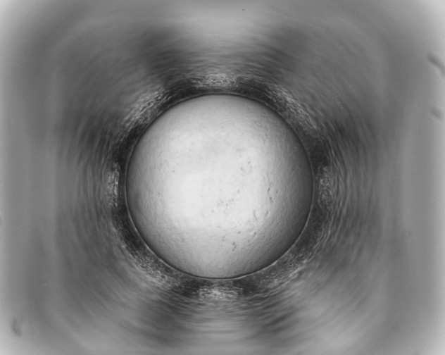 X0000093380739200710251216