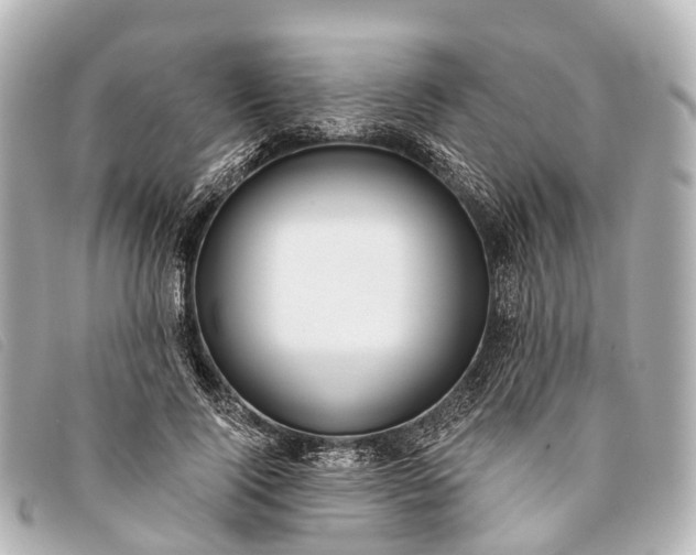 X0000093380740200710251216