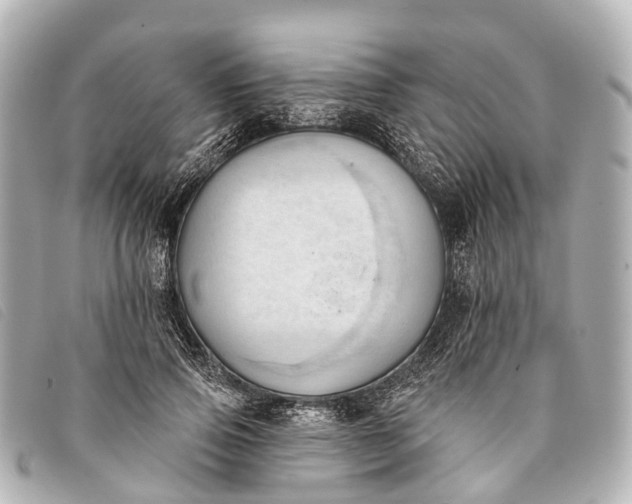 X0000093380741200710251216