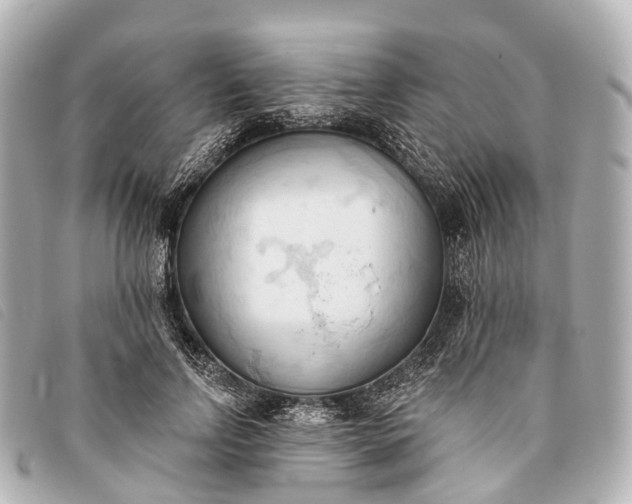 X0000093380742200710251216