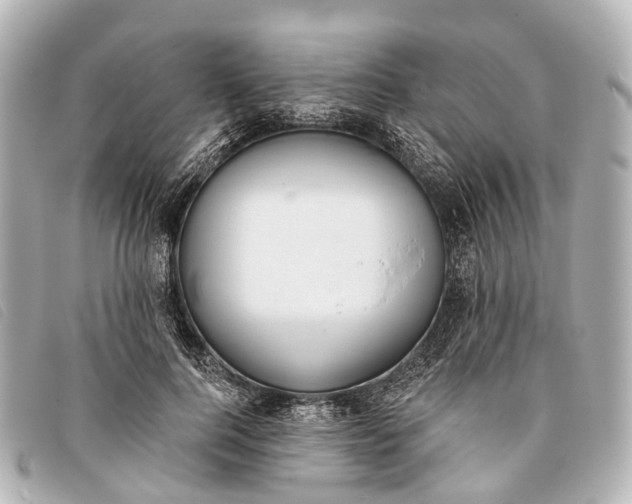 X0000093380744200710251216