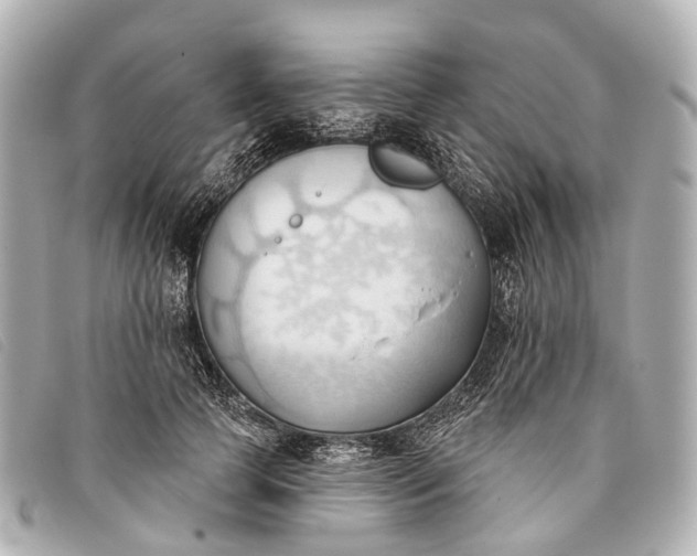 X0000093380745200710251216