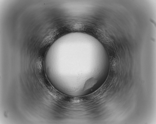 X0000093380746200710251216