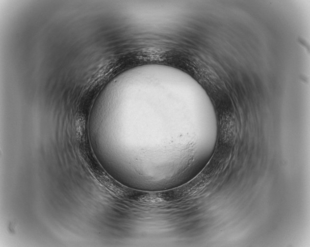 X0000093380747200710251216