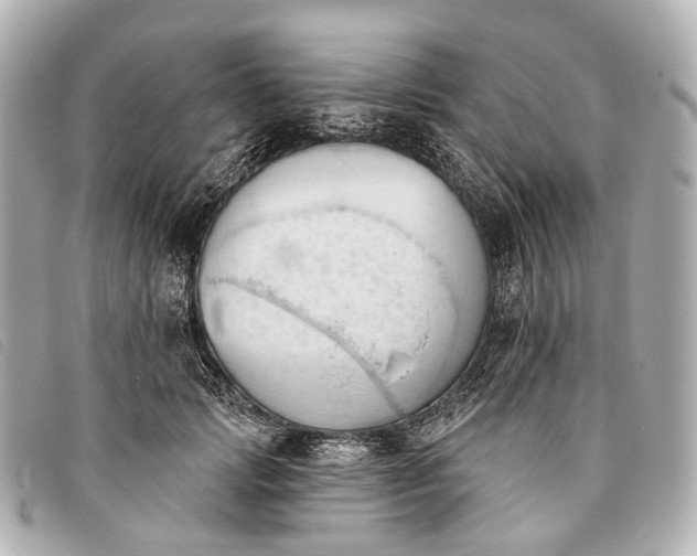 X0000093380749200710251216