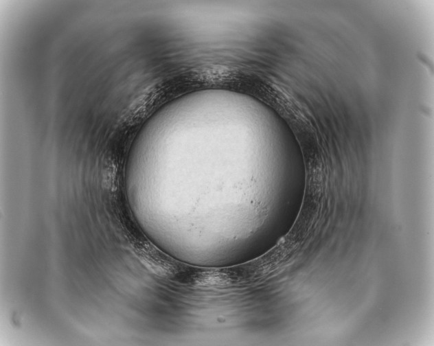 X0000093380750200710251216