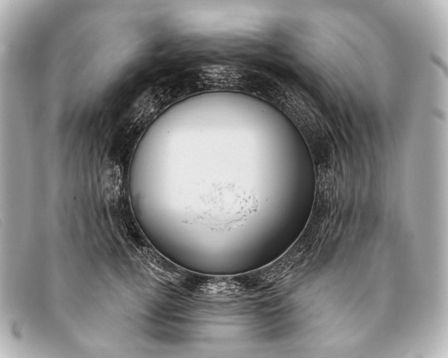 X0000093380752200710251217