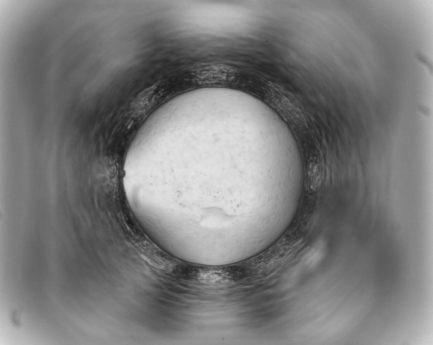 X0000093380753200710251217