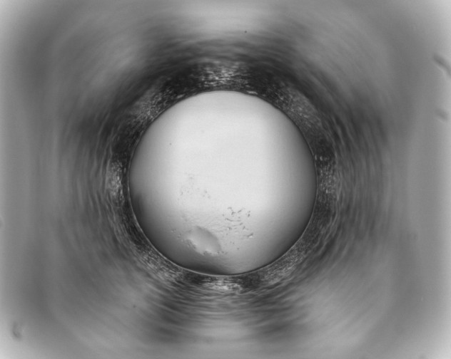 X0000093380754200710251217