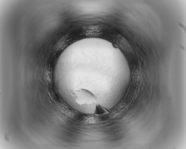 X0000093380755200710251217