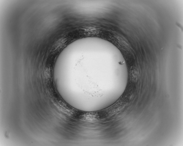 X0000093380756200710251217