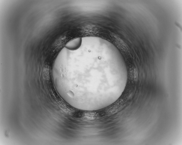 X0000093380757200710251217