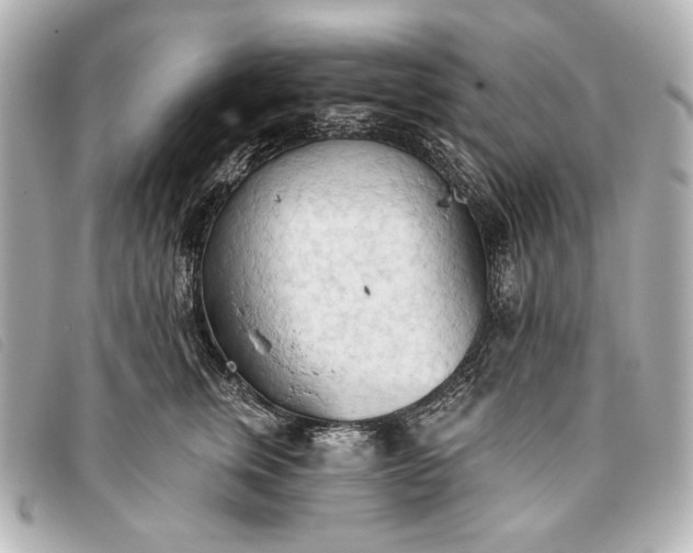 X0000093380759200710251217