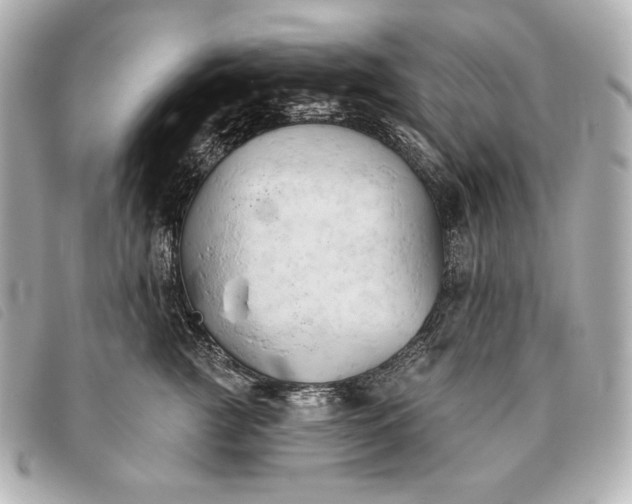 X0000093380761200710251217