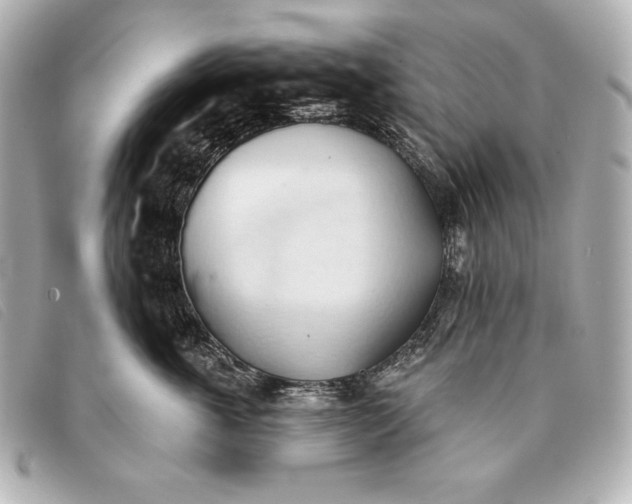 X0000093380763200710251217