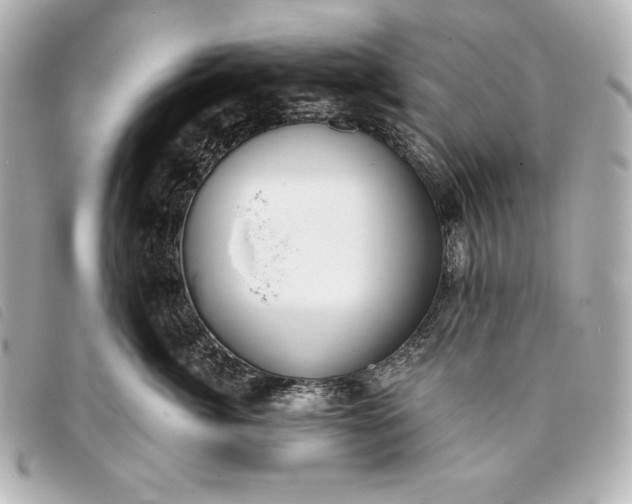 X0000093380764200710251217