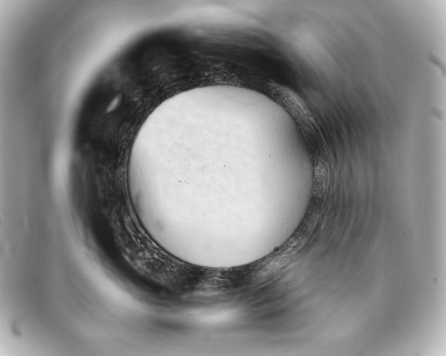 X0000093380765200710251217