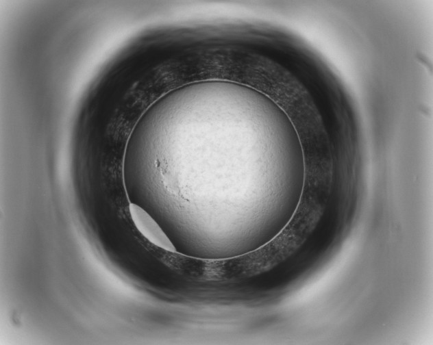 X0000093380766200710251217