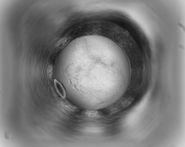 X0000093380767200710251217