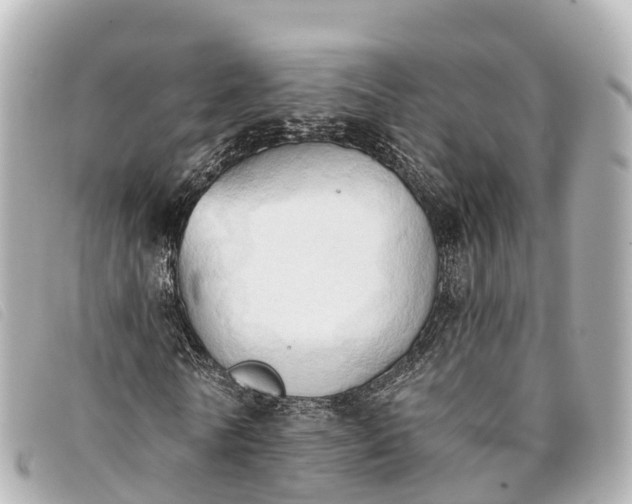 X0000093380770200710251216