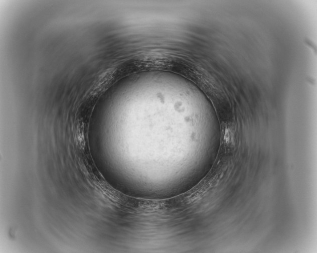 X0000093380771200710251216